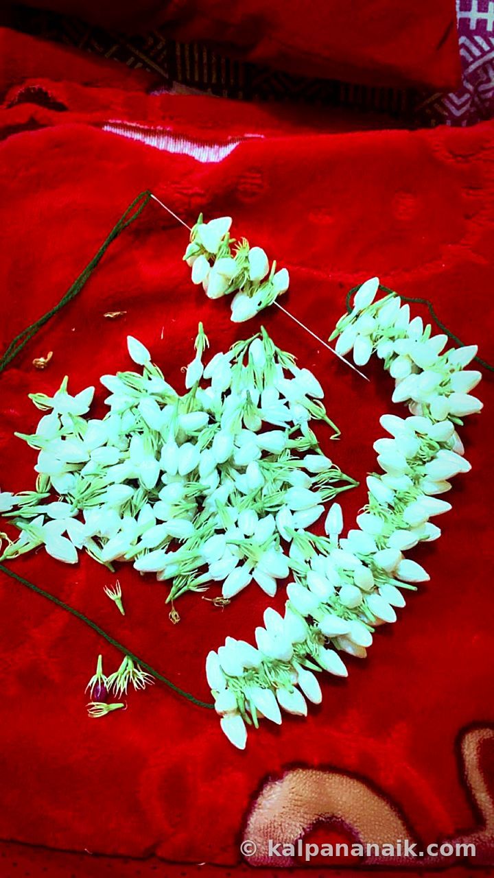 Jasmine buds on red cloth