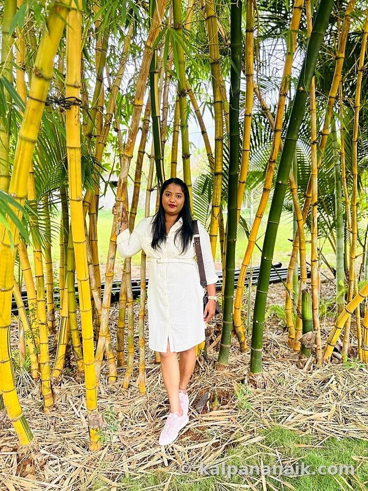 Kalpana out and about