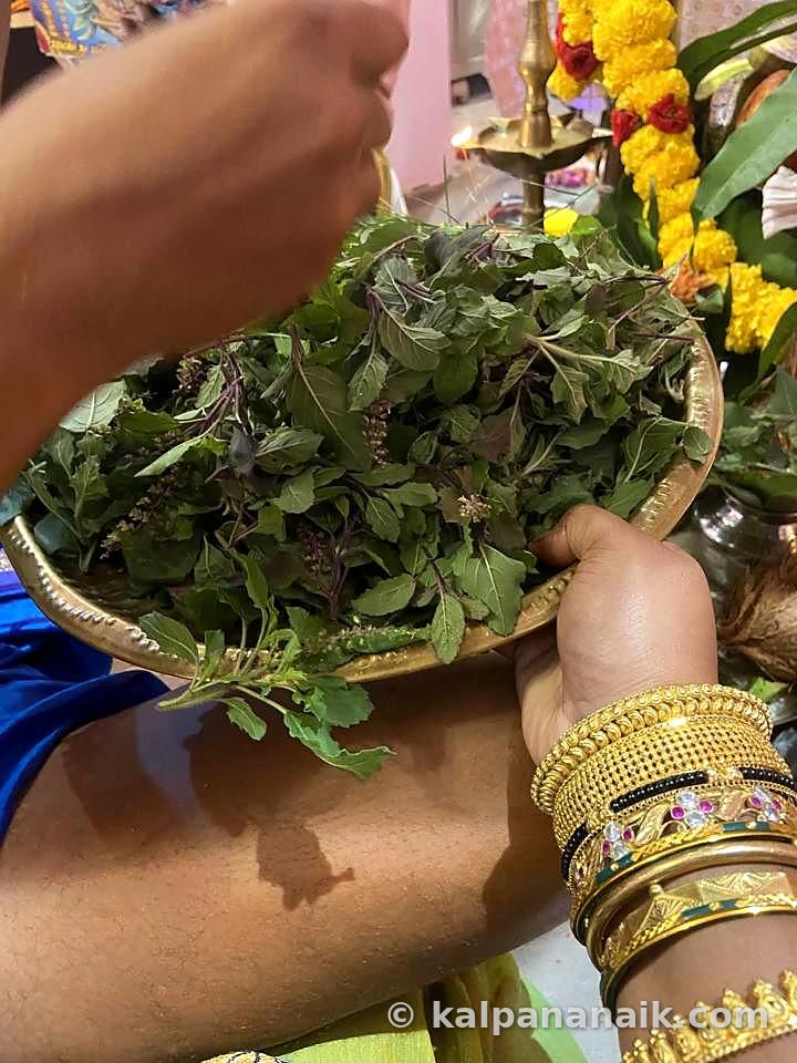 Fresh herbs in a basket