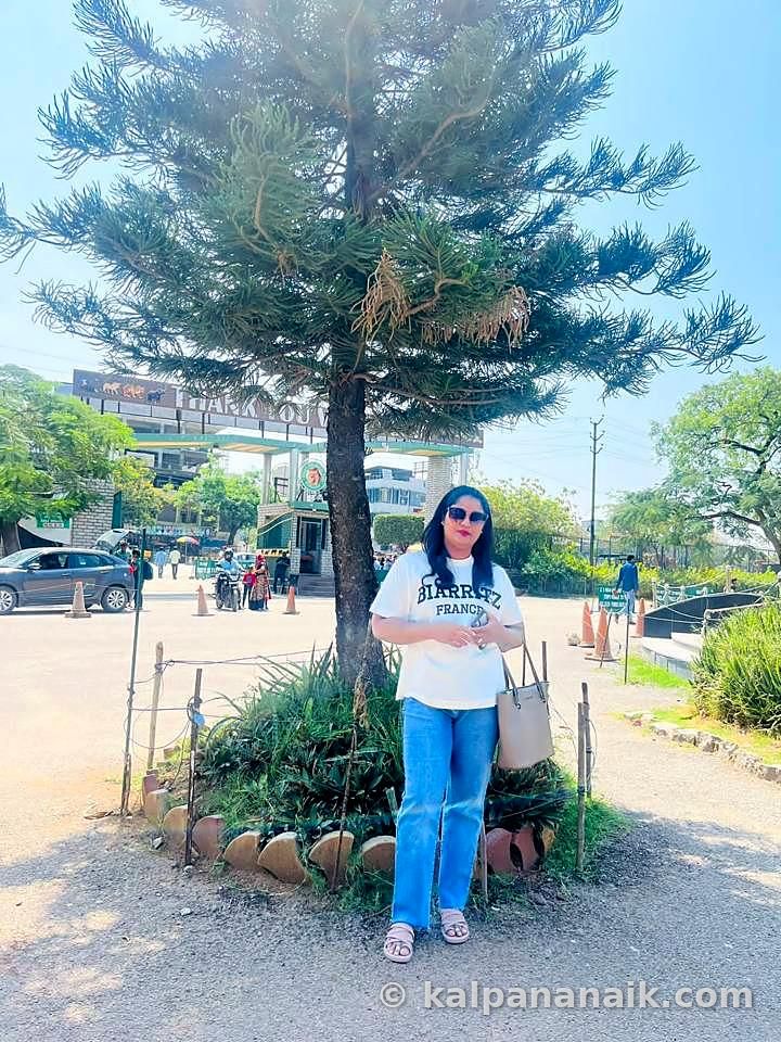 Kalpana out and about