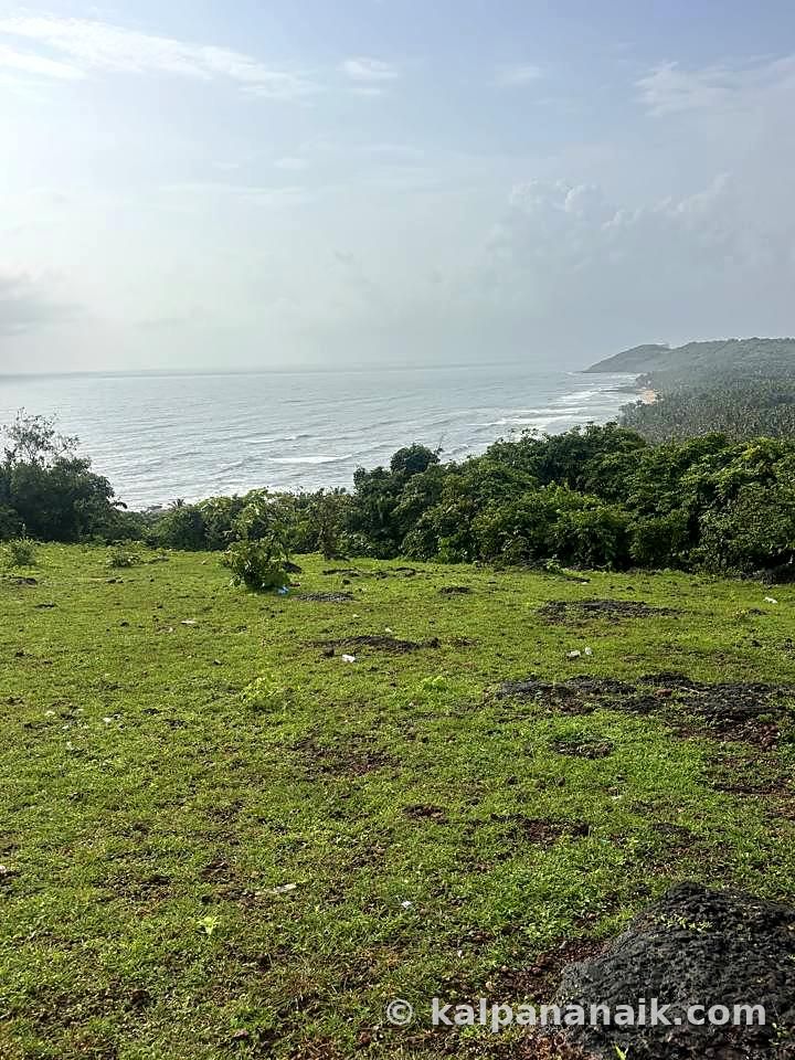 Coastline from a grassy cliff