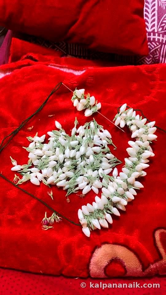 Jasmine flowers scattered on red