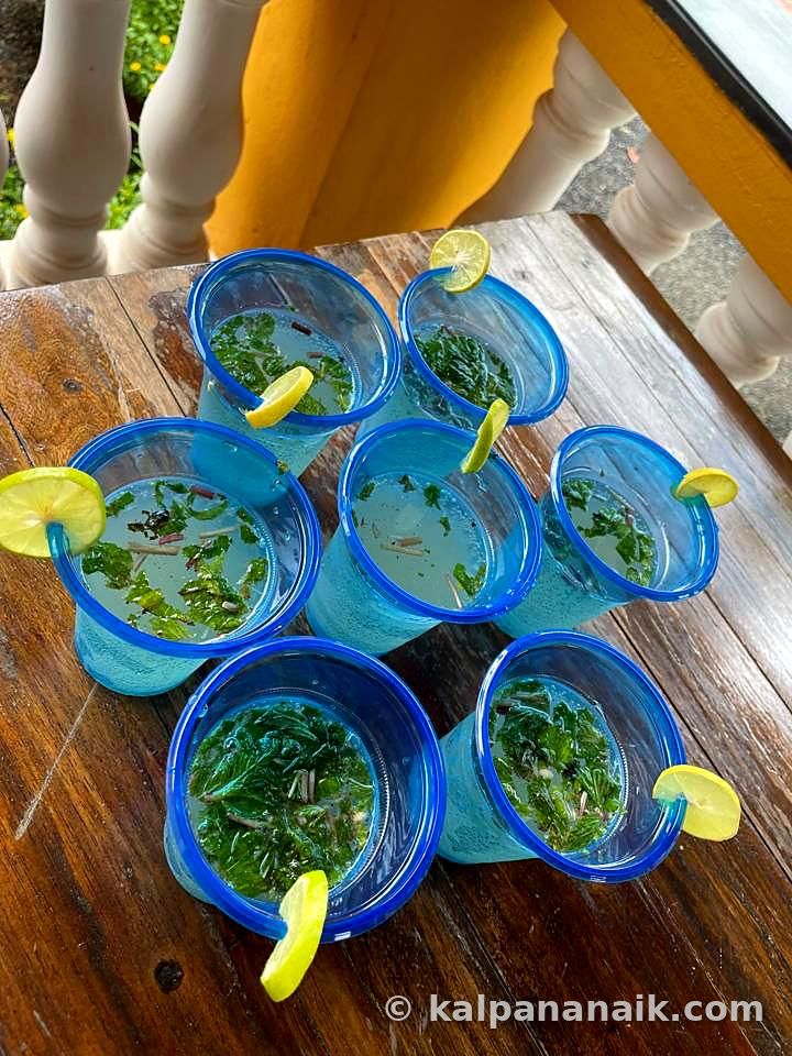 Glasses of mint drinks