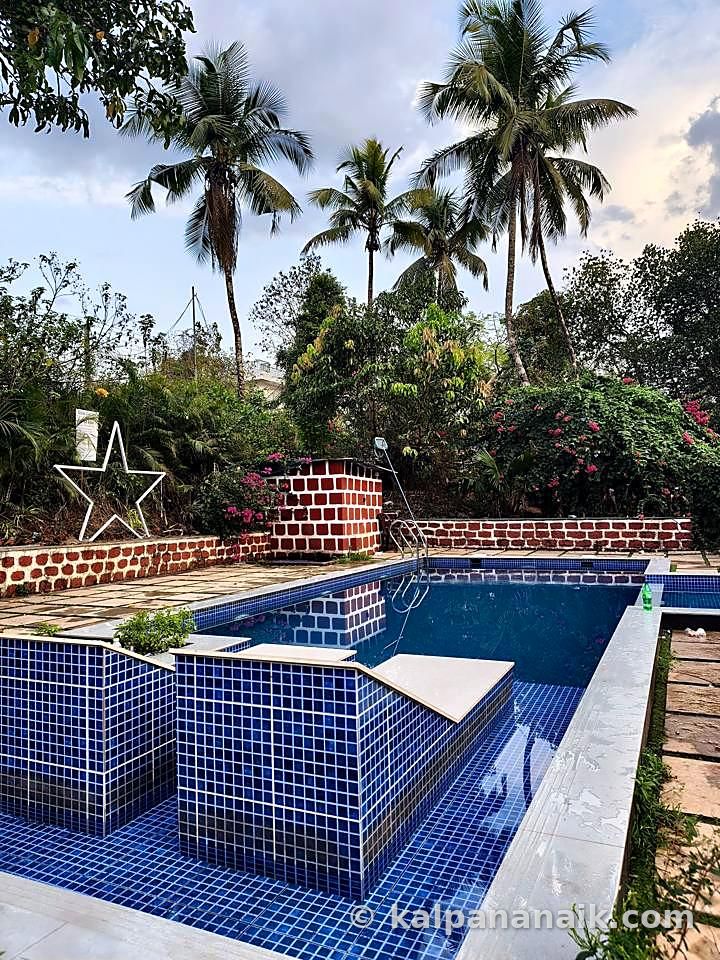Pool under coconut palms
