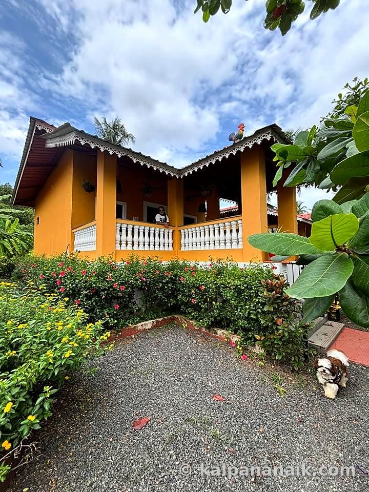 Yellow cottage in the trees